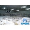 氣調(diào)庫設(shè)計建造